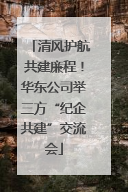 清风护航共建廉程！华东公司举三方“纪企共建”交流会